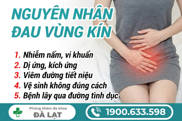 Hình ảnh minh họa